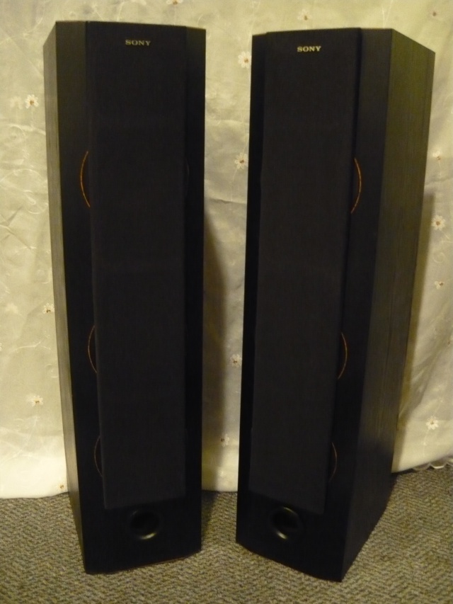 Sony SS-X9S floorstand speaker (used) SOLD P1070216