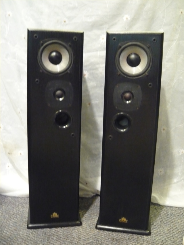 Castle Floorstand speaker (used) SOLD P1070410