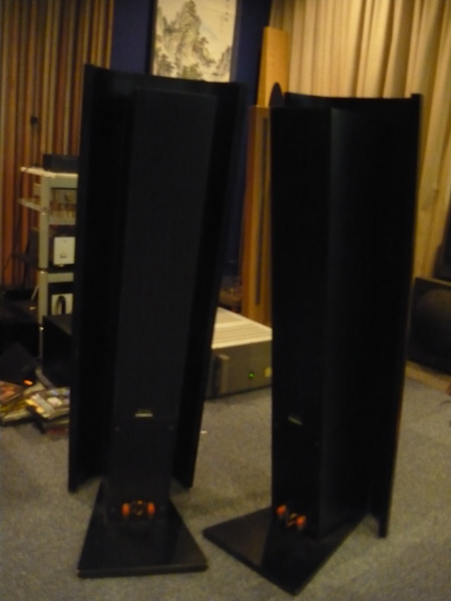 Ensemble floorstand speaker (used) SOLD P1070427