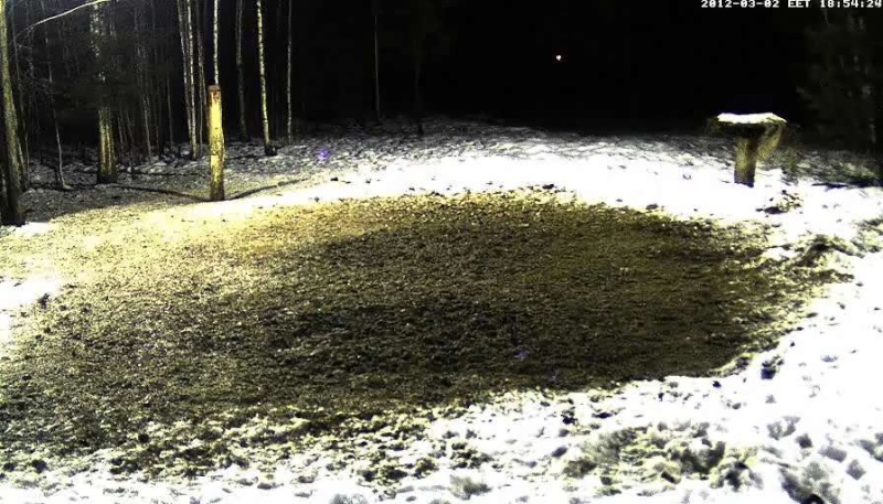  ESTONIAN WILD PIG CAM 2011 -2012 - Page 8 2012-120