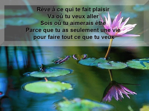 Petites citations C6ae7c10