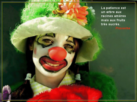 Proverbes Citations Et Clowns