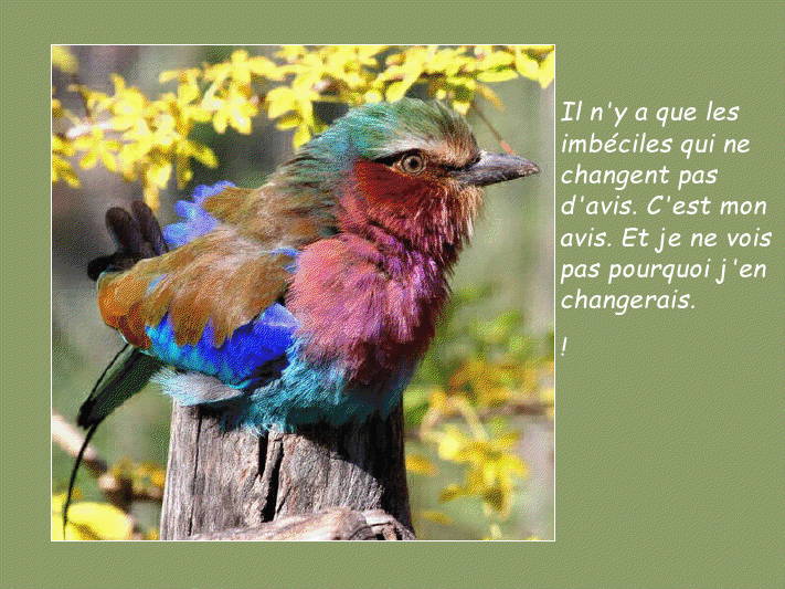 Les citations de Philippe Geluk View2598