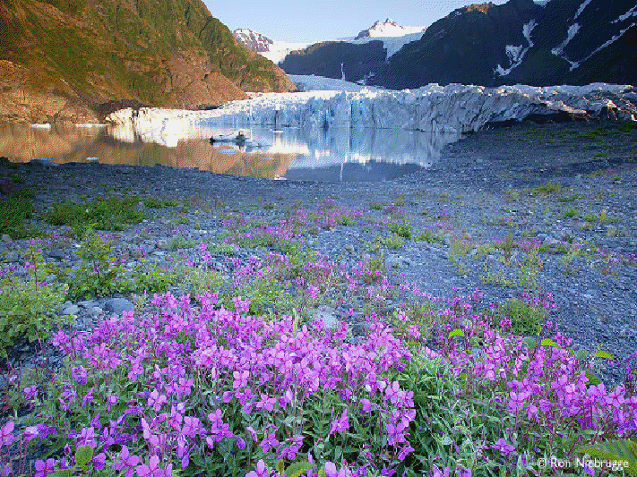 Petit voyage en Alaska View2882