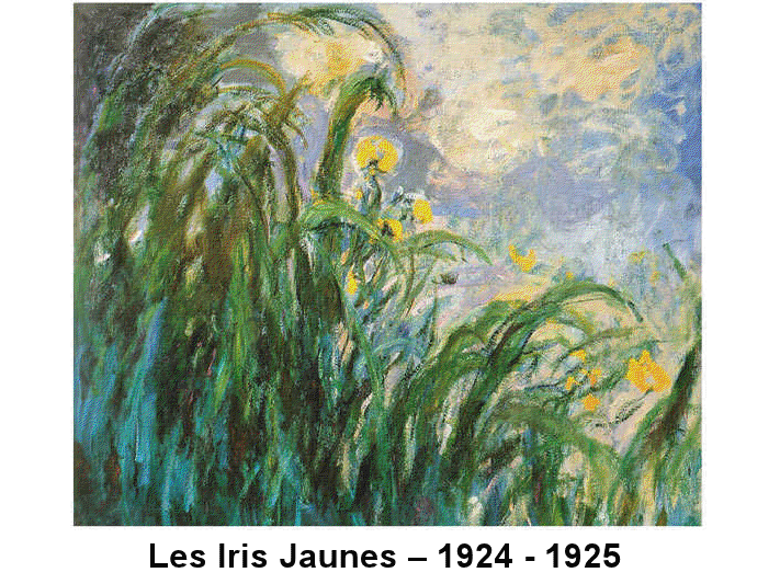 Exposition Monet (suite) View3028