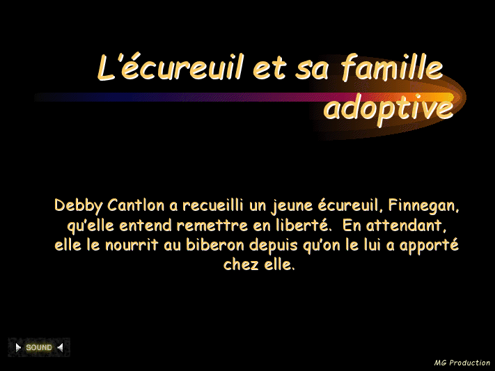 L'écureuil et sa famille adoptive View3310