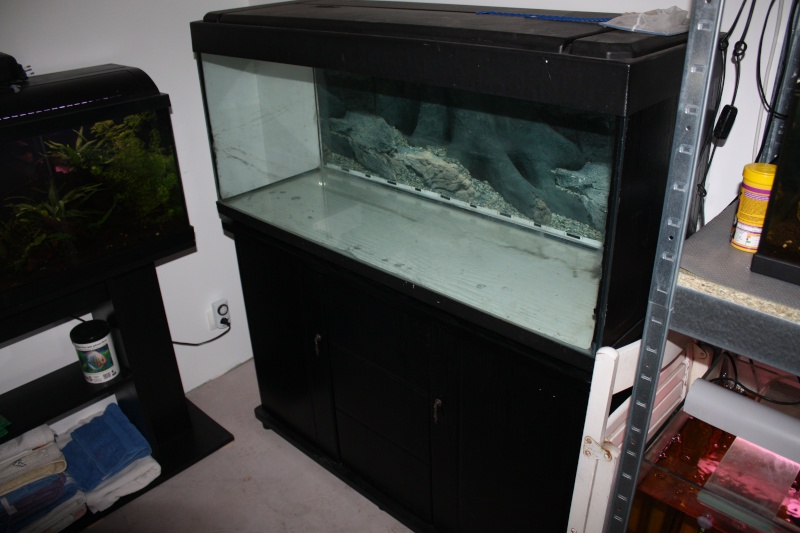 [60 Vend] Aquarium 250L + meuble Aquari20