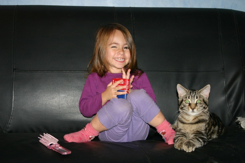 Titie, chat tigré noir né en juin 2010 Titi10