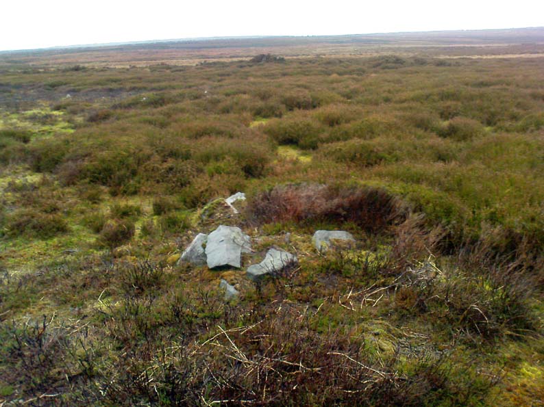 New prehistoric enclosure on Bingley Moor found Bingle11