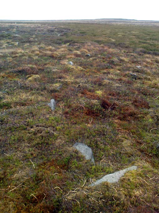 New prehistoric enclosure on Bingley Moor found Bingle12