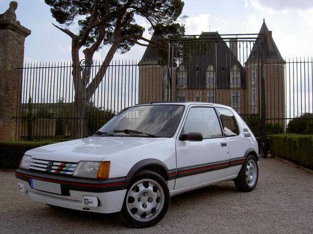 [alexos31] 205 - GTI - 1600 - Faux blanc Meije Pict5910