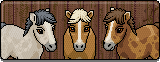 Nuovo Animale - Cavallo Hotcam10