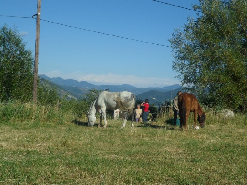 Le long de la TRADAC et Pays du Buëch 39683410