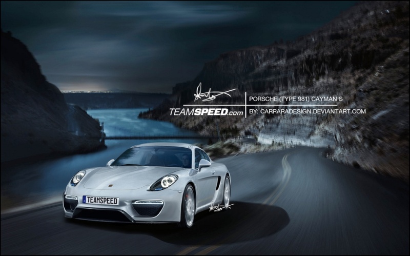 2012 - [Porsche] Cayman [981] Porsch11