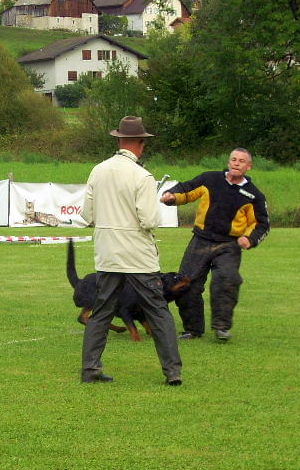 Concours RING le 17 et 18/09/11 Dscn4416