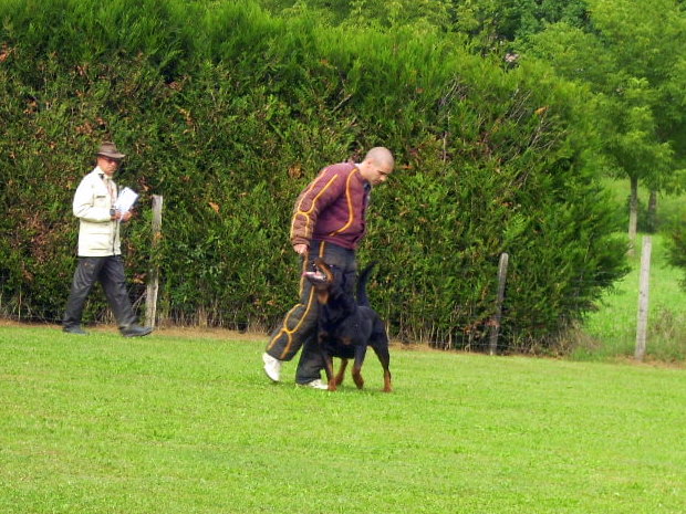 Concours RING le 17 et 18/09/11 Dscn4629