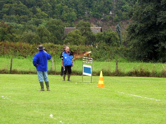 Concours RING le 17 et 18/09/11 Dscn4640