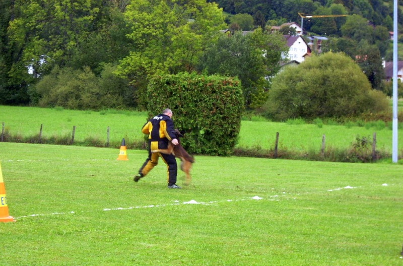 Concours RING le 17 et 18/09/11 Dscn4641