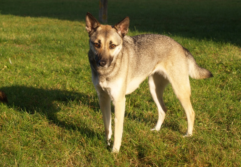 Free et Cachou en goguette - Page 15 Pa309411