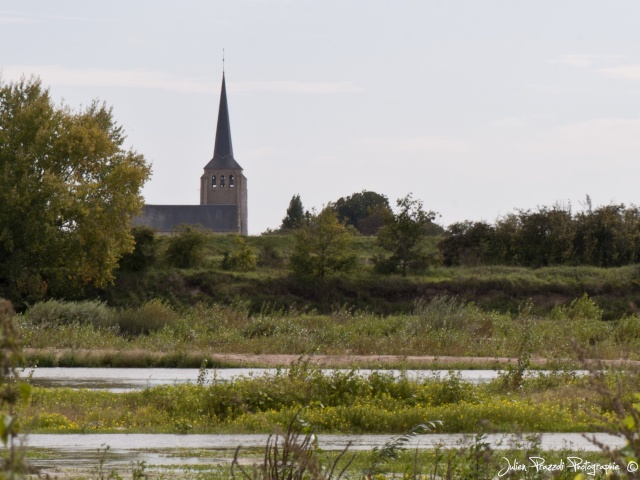 Les Eglises du Loiret Dsc_0219