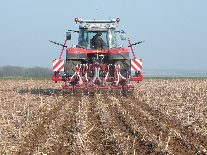 Photos colzas Strip till 2011 - Page 5 P1000919