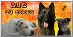 forum d\'entraide pour les possesseurs de chien - Portail Sans_t28