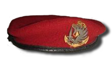 BERET ROUGE ET BERET VERT DES PARACHUTISTES Img4d812