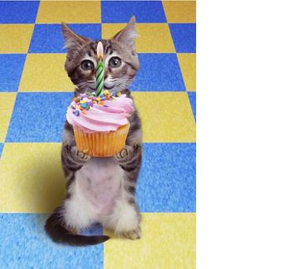 Joyeux Anniversaire Valvanille Page 2 Joyeux Anniversaire Valvanille Page 2
