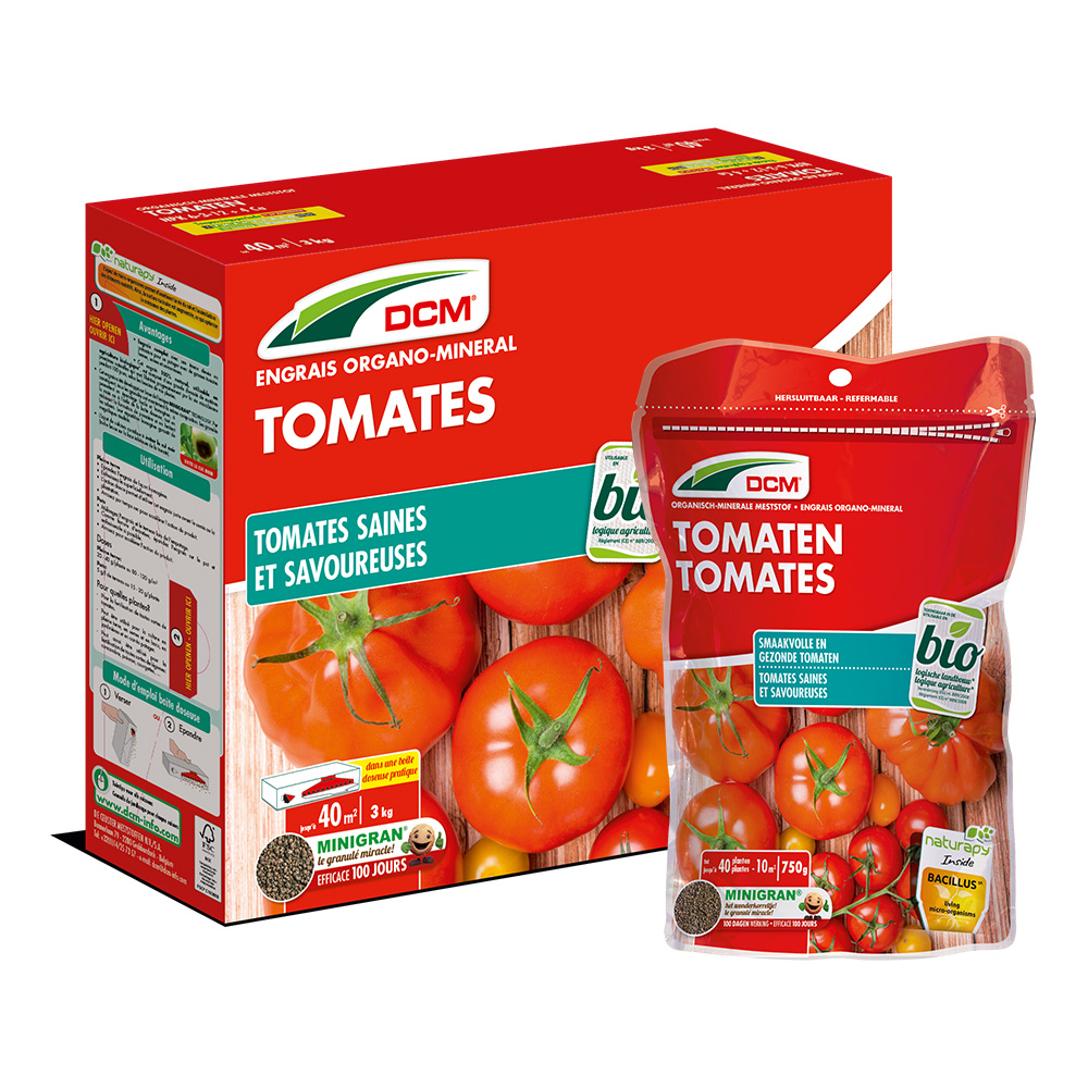 Arrosage de vos tomates Tomate10