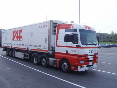 TAF (Trans Artois Frigo)(Aix-Noulette, 62)(Transporteur disparu) 24213710