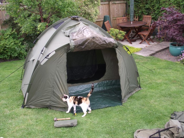 Fox Ground Tent: Easy Dome Review Tent_111