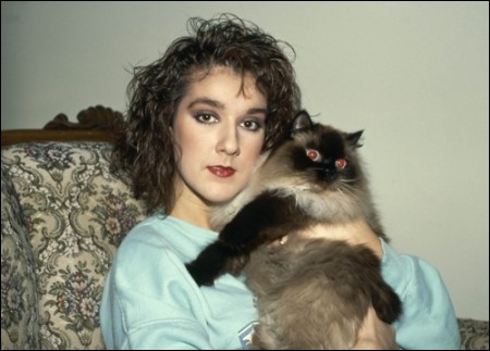 Photo de célébrité et leur chat Celine11