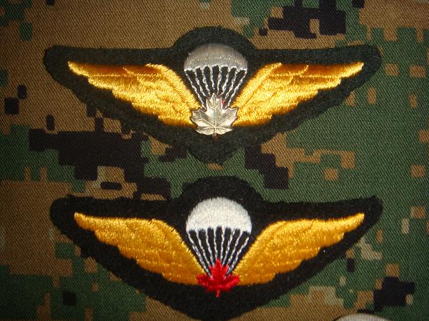 Canadian Para wings and patches help required. Cdn_wi10
