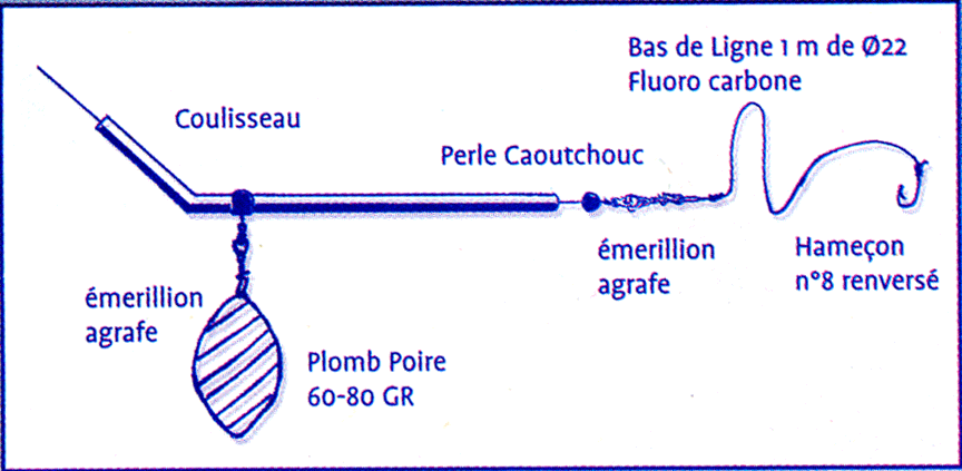 Pêche du Pageot Montag10