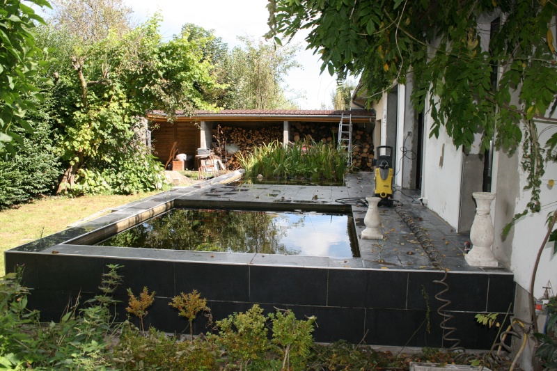 bassin integré ds une terrasse Bis_0112