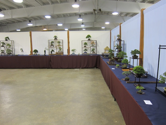 3rd US National Bonsai Exhibition in Rochester NY