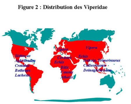 Les morsures de serpents dans le monde. Rtemag16