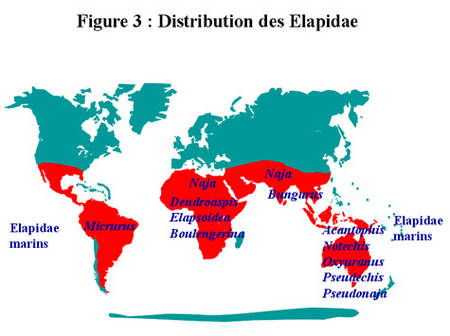 [DOSSIER] LES MORSURES DE SERPENTS DANS LE MONDE . Rtemag18