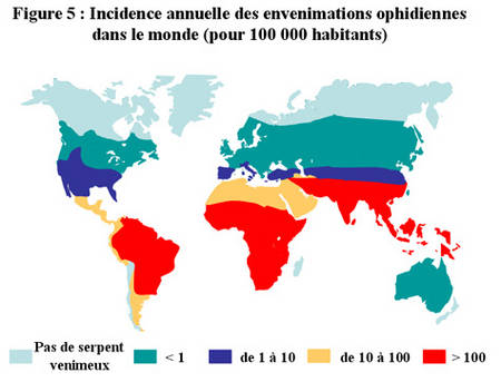 [DOSSIER] LES MORSURES DE SERPENTS DANS LE MONDE . Rtemag20