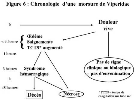 Les morsures de serpents dans le monde. Rtemag23