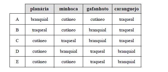 Exercícios Resolvidos do Sistema Respiratório Imagem18