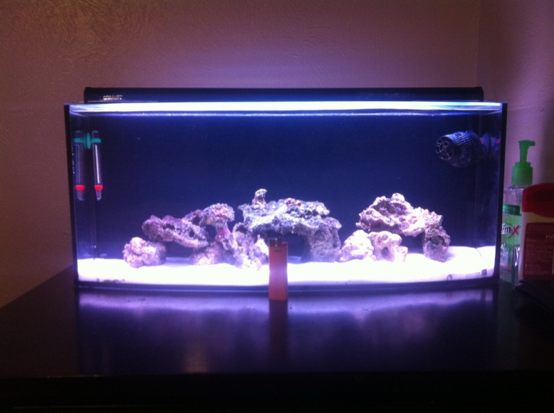 7 gallon bowfront reef Img_4210