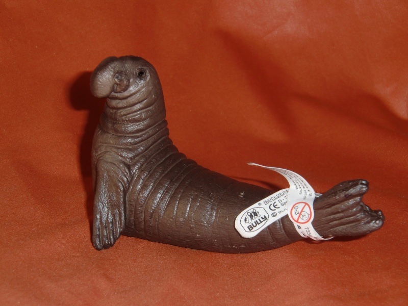 bullyland - Elephant seal, Bullyland 2001 Deluxe Sea Animals, walk around Cimg8323