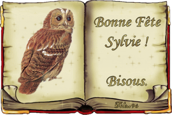La Bonne Fete A Sylvie La Bonne Fete A Sylvie