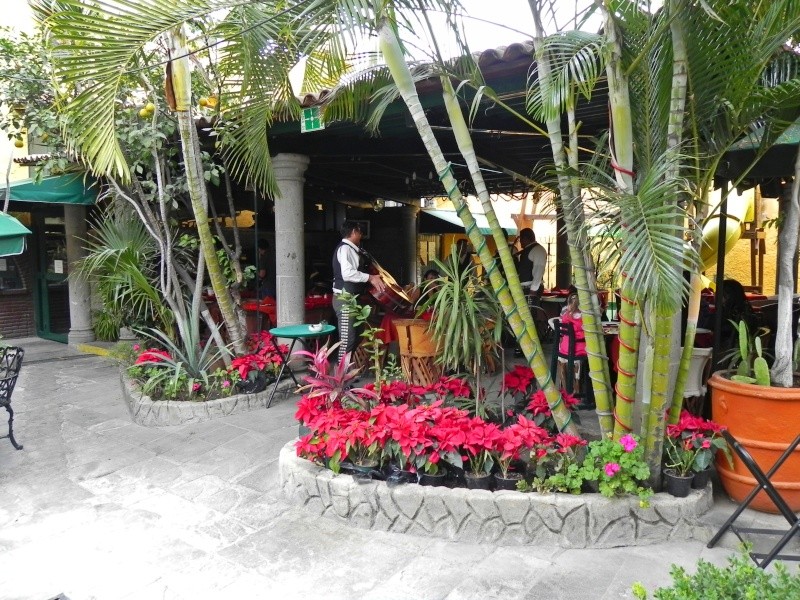 El Patio Restaurant - Tlaquepaque Dscn2712
