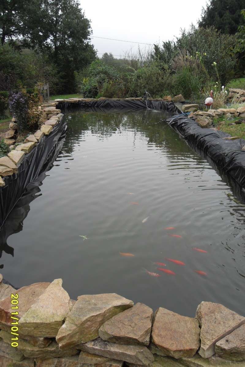 Obligé de changer la bâche du bassin..... Dur dur!!! Sdc15115