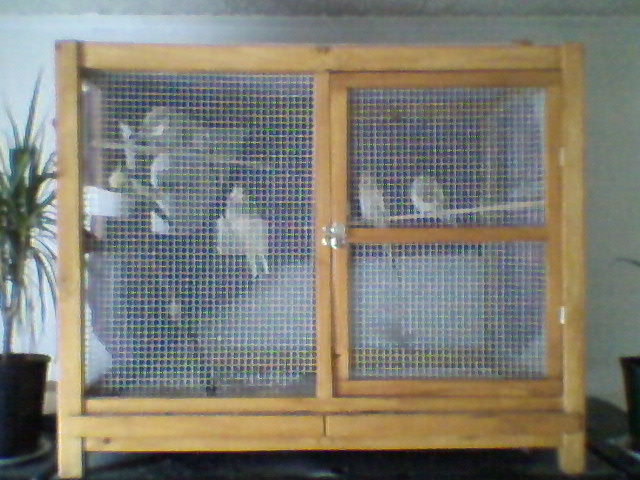 Ma fabrication grande cage Photo034