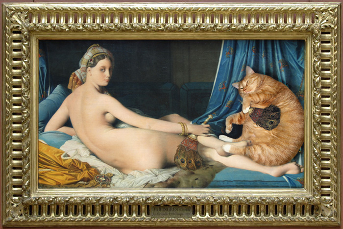 Un Gato metido en el arte. Gato1810