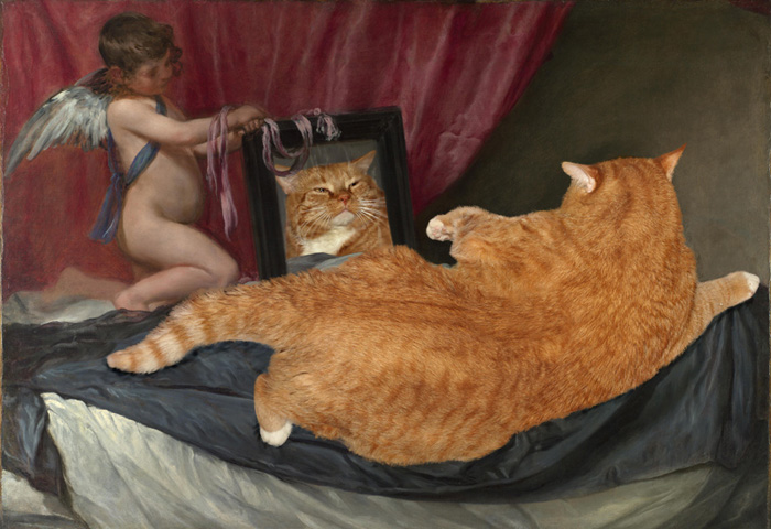 Un Gato metido en el arte. Gato3810