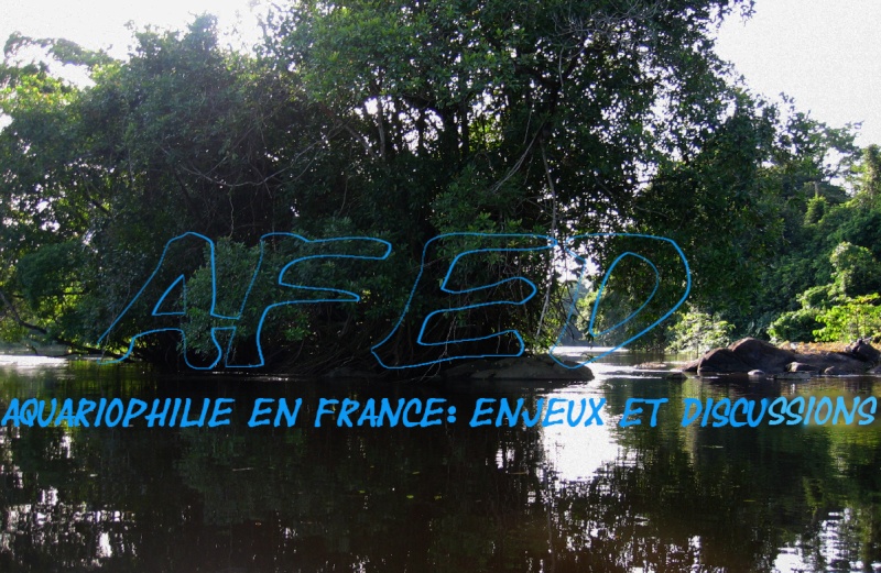 Aquariophilie en France: Enjeux et Discussions